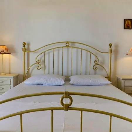 Seaview Daisy House In Zakynthos Island Отель Василикос