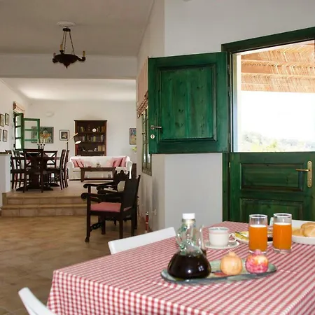 Seaview Daisy House In Zakynthos Island Отель 4*