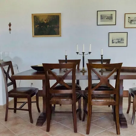 Seaview Daisy House In Zakynthos Island Отель Василикос