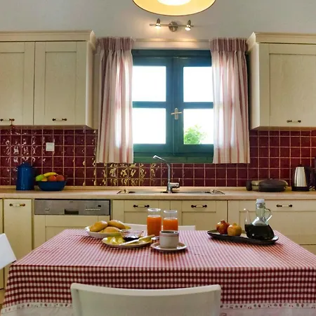 Seaview Daisy House In Zakynthos Island Отель Василикос
