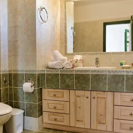 Seaview Daisy House In Zakynthos Island Отель Василикос